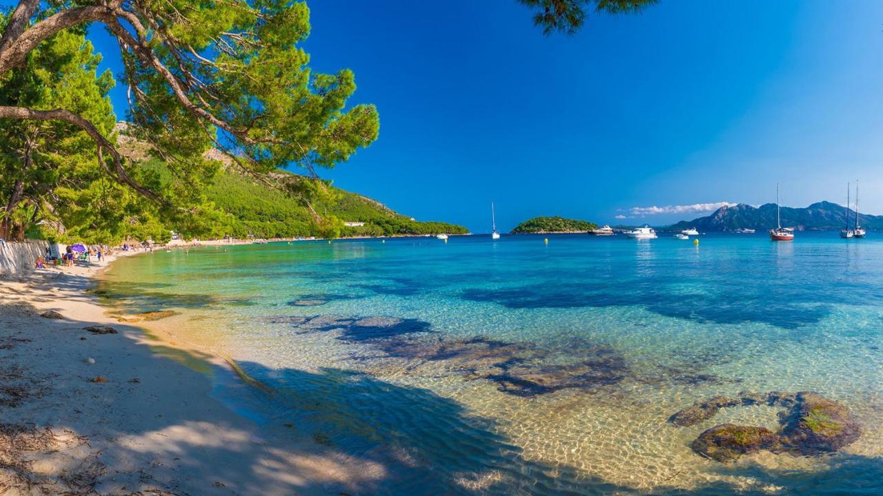 Lavanda Сasa de vacaciones Alcúdia